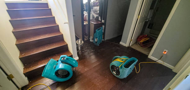 Best 24-hour water damage restoration  in Newell, WV