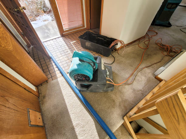 Water damage restoration mold remediation in Newell, WV