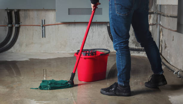 Best Local water damage restoration  in Newell, WV