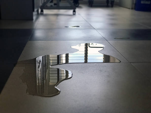 Best Professional water damage repair  in Newell, WV
