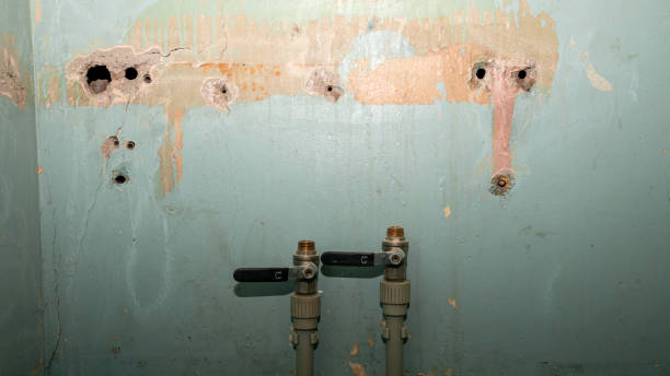 Best Water damage restoration experts  in Newell, WV