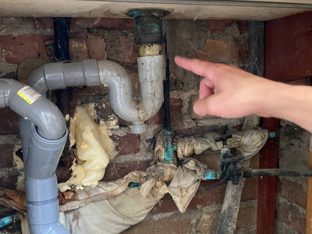 Best Fire Damage Restoration  in Newell, WV